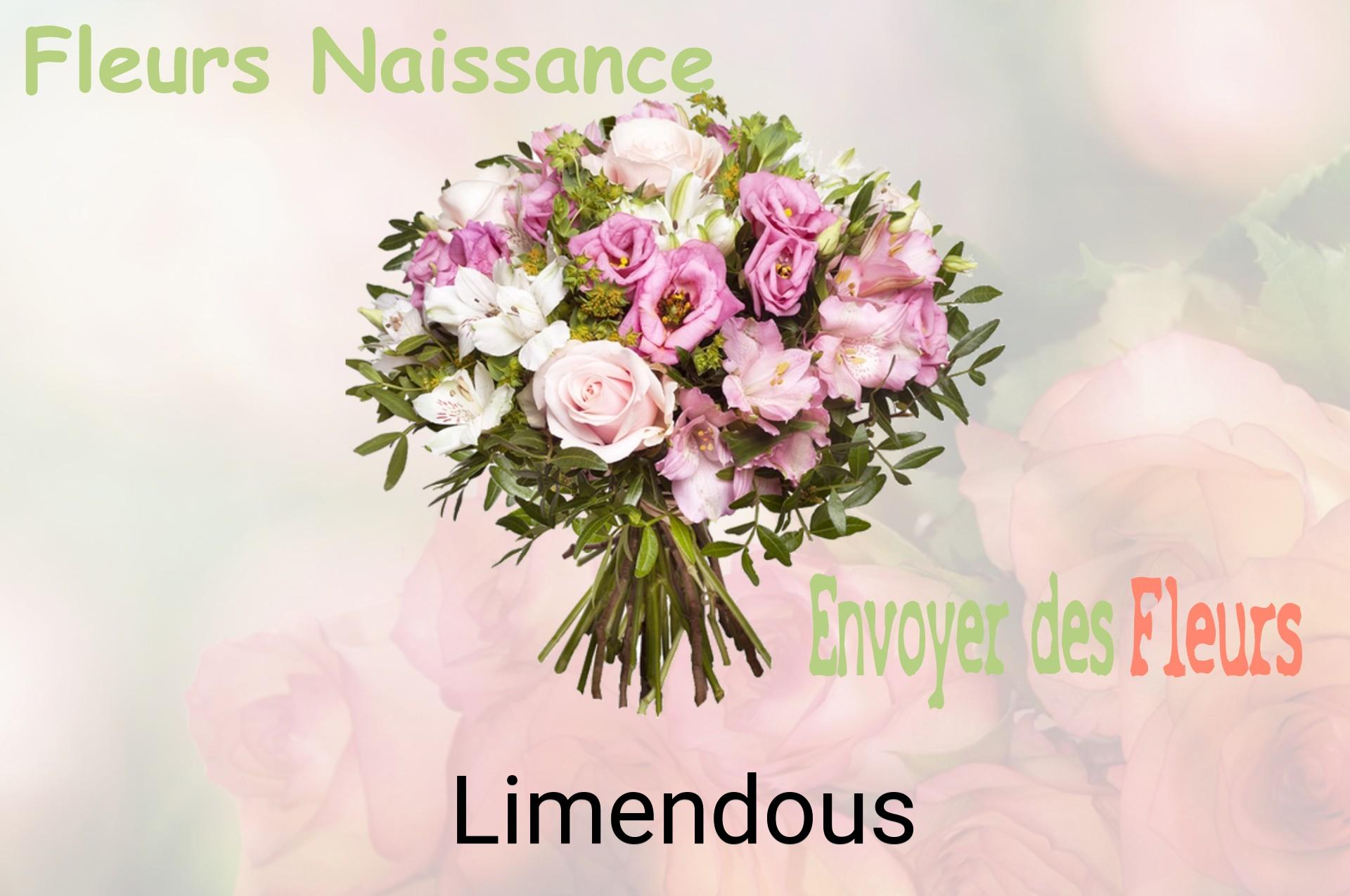 Bouquet de fleurs de naissance livré à Limendous
