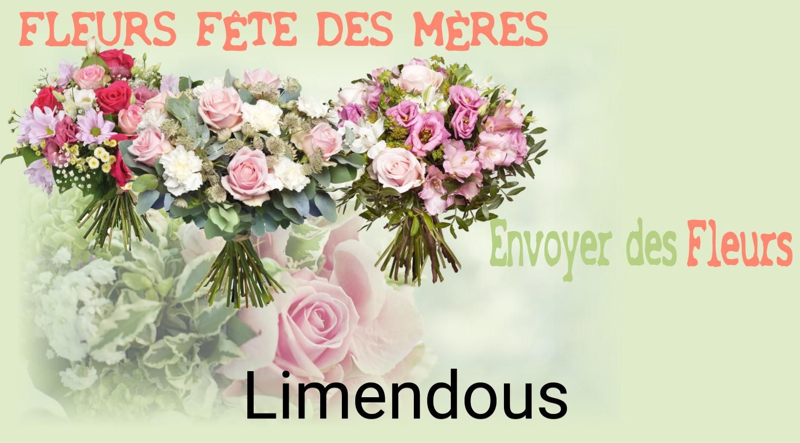 Bouquet de Fête des Mères livré à Limendous